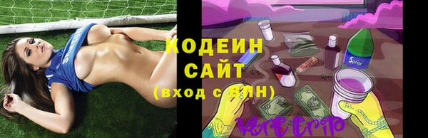 МДПВ Дмитриев