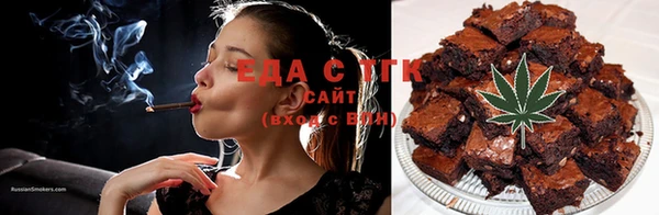 гашик Ельня