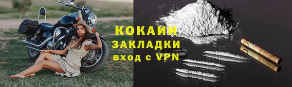 МДПВ Дмитриев