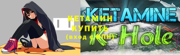 гашик Ельня