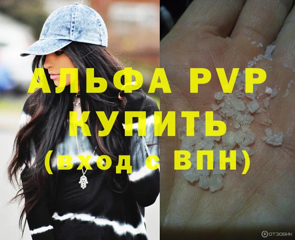 гашик Ельня