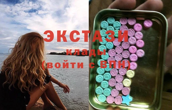 гашик Ельня