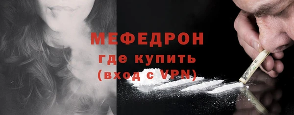гашик Ельня