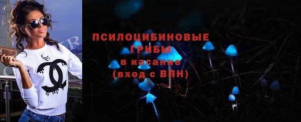 МДПВ Дмитриев