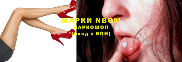 гашик Ельня