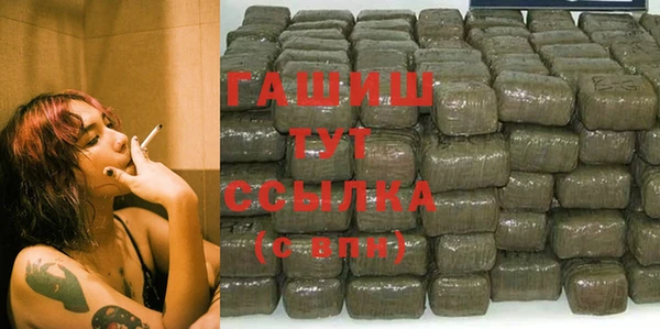дмт Дмитров