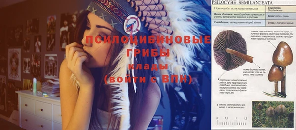 прущая мука Елизово