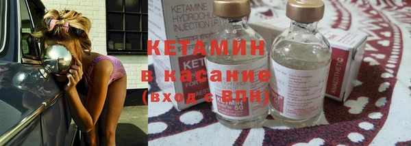 гашик Ельня
