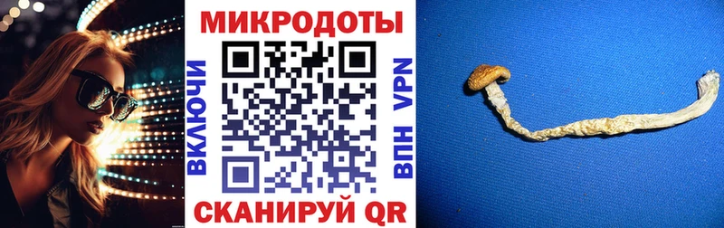 Псилоцибиновые грибы Psilocybe  купить наркотики сайты  Копейск 